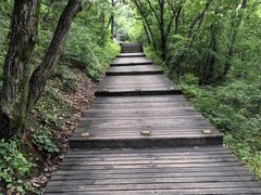 -帽儿山国家森林公园