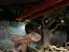 -正佳雨林生态植物园
