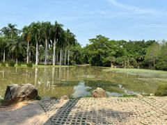 -中国科学院西双版纳热带植物园