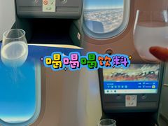 -全日本空输株式会社(上海办事处)