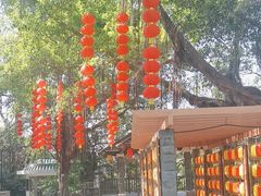-广州市白云山风景名胜区