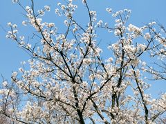 -苏州上方山国家森林公园
