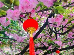-龙华寺