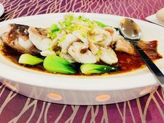 -欢乐海岸美食联盟