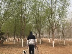 -东郊湿地公园