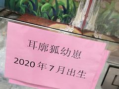 -灵玲国际马戏城