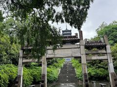 -宜兴龙背山森林公园