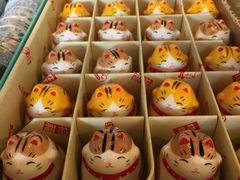 -猫的天空之城概念书店(丽江古城饮玉巷店)