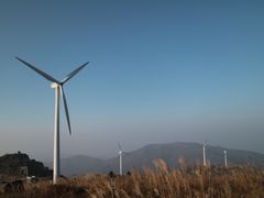 -东白山