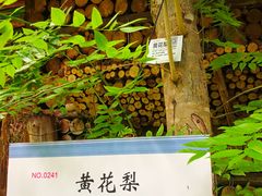 -北京呀路古热带植物园