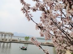 -青龙湖公园
