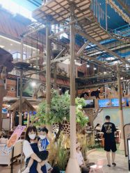 -卡通尼·Safari非洲探索乐园·生日会(金桥国际商业广场店)