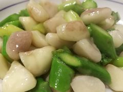 -兰边碗(鼓楼店)