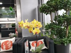 -北京之星奔驰4S店(亦庄店)