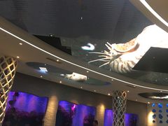 -瑞德姆美人鱼海底演艺主题餐厅(亚龙湾店)