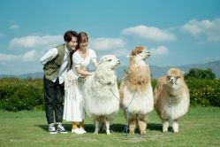 点击看大图 -太古映画婚纱摄影(天河店)