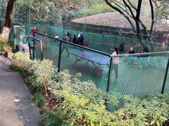 -杭州半山国家森林公园