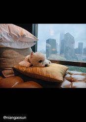 -茉莉智慧母婴护理中心(瑰丽店)