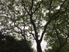 -玲珑塔公园