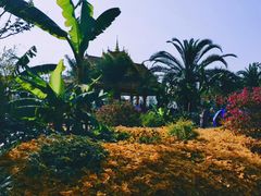 -四里河滨水生态公园