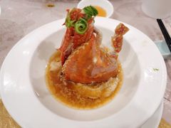 -十八棵（老龙井）御茶园(老龙井店)