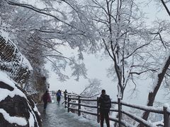 -少华山国家森林公园