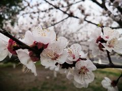 -南京市无想山景区