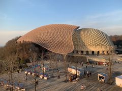 -牛首山文化旅游区