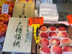 -油麻地果栏
