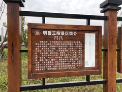 -明鲁王陵