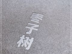 -枣子树·素食餐厅(普陀山店)