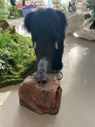 -IMON·HANSA潮玩玩偶毛绒玩具(通州万象汇店)