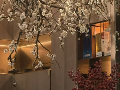 -梅花境(万科店)