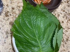 -東門韩国传统烤肉·韩国料理(银座直营店)