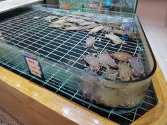 -阿毛饭店·宁波老字号(儿童公园旗舰店)