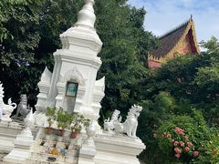 -西双版纳原始森林公园