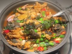 -淘蛙(广州星寰国际商业中心店)