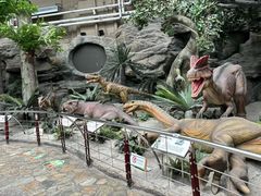 -国家自然博物馆