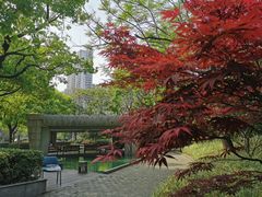 -苏州河梦清园环保主题公园