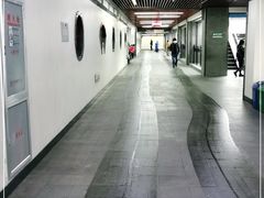 -黑龙江中医药大学附属第一医院