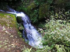 -赤水丹霞旅游区·佛光岩