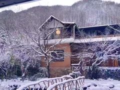 -秦岭风景区