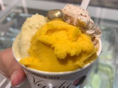榴莲冰淇淋-VENCHI 闻绮(上海佛罗伦萨小镇店)