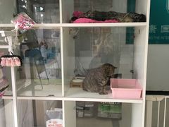 -萌兽医馆·绝育·24小时内科·宠物医院(德胜店)