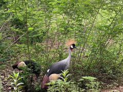 -秦皇岛野生动物园