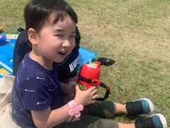 -春花秋色城市公园