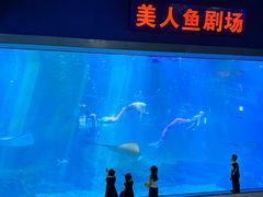 -福州罗源湾海洋世界旅游区