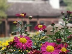 -惠山古镇·寄畅园