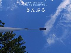 -北龙湖湿地公园