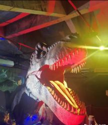 -恐龙探索乐园(磁器口店)